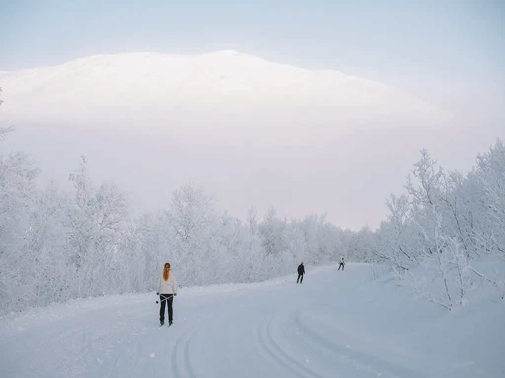 Langrenn i snødekt vinterlandskap nær Fýri Resort i Hemsedal
